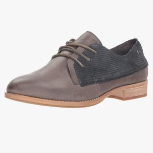Cat caterpillar grey leather tally Oxford sneakrr